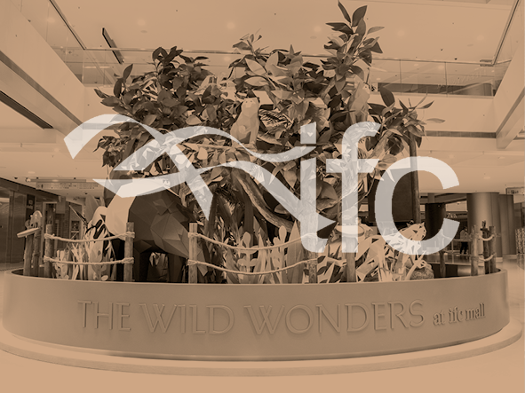 香港国际金融中心夏季活动